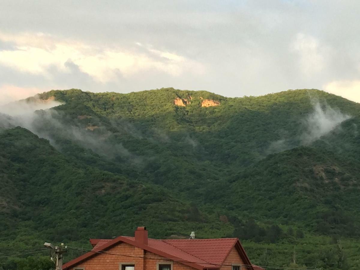 Aragvi Valley Villa Tsitelsopeli ภายนอก รูปภาพ